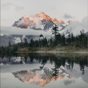 Meet your Posher, Mikayla